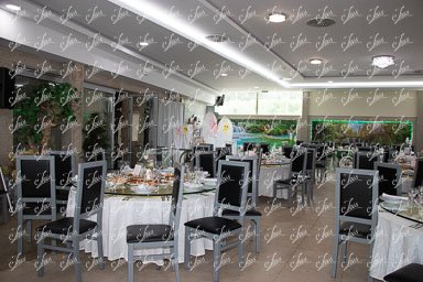 3179.jpg