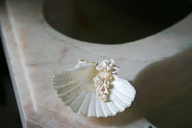 IMG_9986.jpg